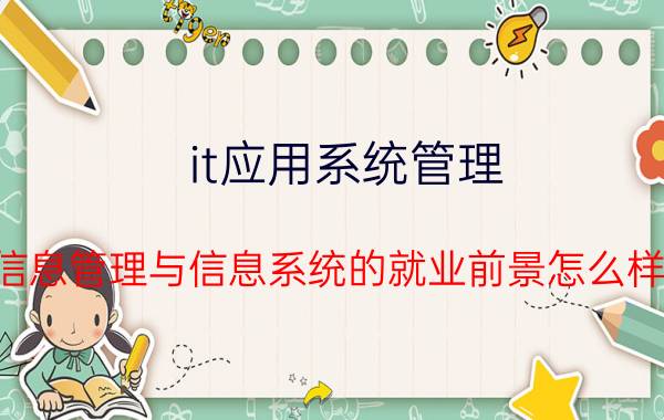 it应用系统管理 信息管理与信息系统的就业前景怎么样？